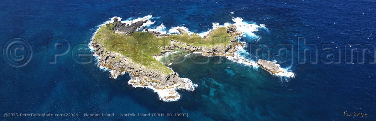 Peter Bellingham Photography Nepean Island - Norfolk Island (PBH4 00 18993)